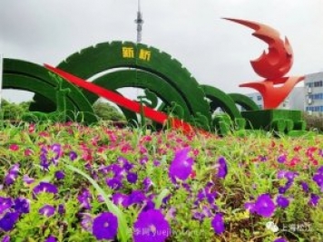 上海松江这里的花坛、花境“上新”啦!特色景观升级!